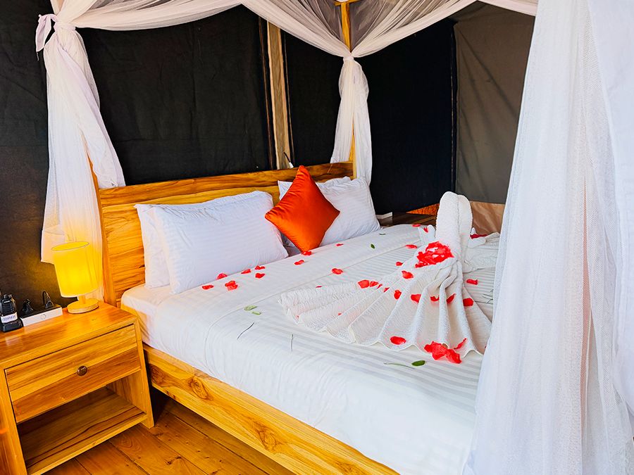 A bed decorated with rose petals and a heart-shaped cushion